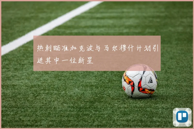 热刺瞄准加克波与马尔穆什计划引进其中一位新星